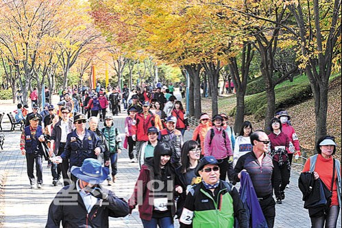 참가자들이 가을 향취가 가득한 울산대공원 숲 사이 길로 걷고 있다.