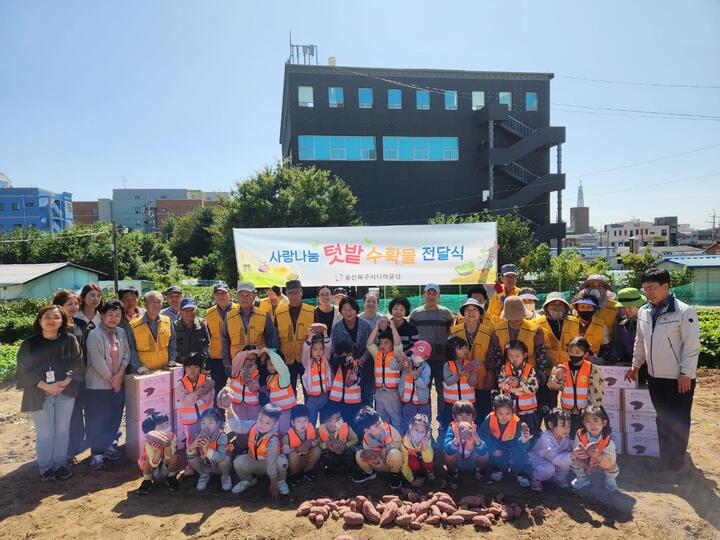 울산북구시니어클럽은 5일 북구 신천동에 위치한 '사랑나눔텃밭가꾸기사업'으로 마련한 텃밭에서 고구마 캐기 및 수확물 나눔 행사를 진행했다.
