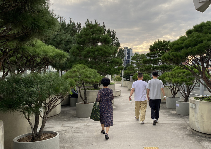 서울로7017은 도심 속 숲길로, 서울역의 접근성을 높여주는 존재다.
