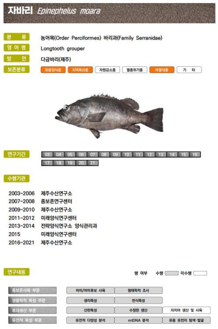 수산과학원 백서 연구 정보 내용(예시 자바리편).
