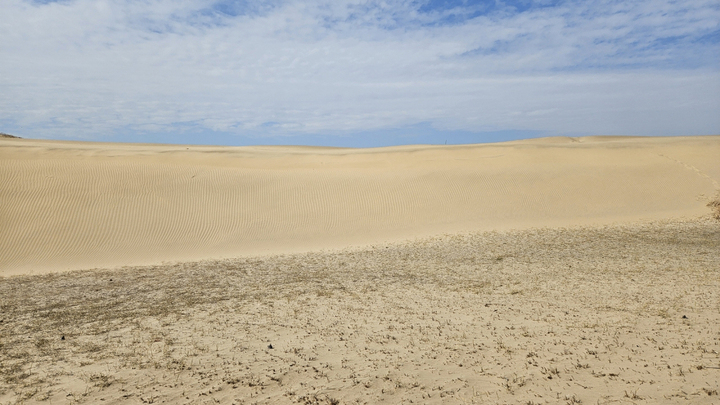 우리나라 최대의 모래언덕 신두리 해안사구.
