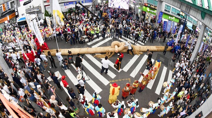울산마두희축제의 하이라이트인 '울산 큰 줄당기기'를 하고 있는 모습. 울산매일 포토뱅크
