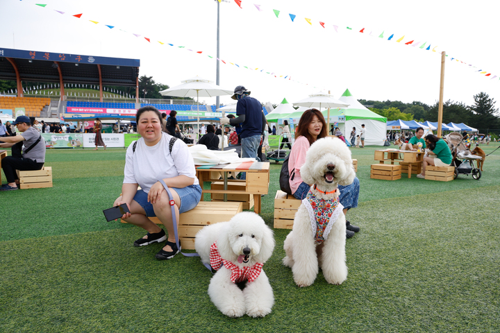 2024 울산 남구 반려동물축제 어서오시개 행복남구 펫스티벌이 지난 6월 울산 남구 문수국제양궁장 및 애견운동공원에서 개최됐다. 행사장을 찾은 시민들이 애견 미용 체험 및 상담은 물론 반려견과 사진을 찍으며 즐거운 추억을 남기고 있다.