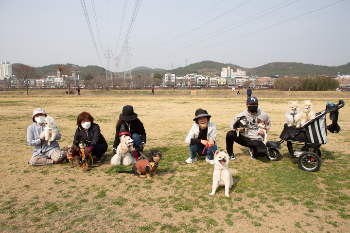 울산 남구 삼호철새공원 일원에서 모임을 가지는 반려견과 반려인들. 오후가 되면 삼호철새공원 일원에 반려견과 반려인들이 모여 함께 시간을 보낸다.