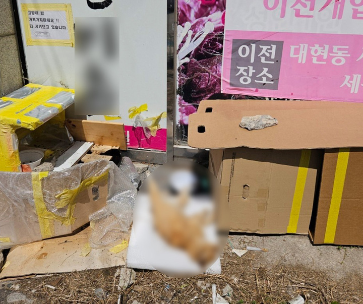 울산 남구 야음동 번개시장 뒷골목에서 수십 마리의 길고양들이 잇따라 사체로 발견되자 16일 지역 캣맘들과 동물보호단체'달달한 동물세상'이 남부경찰서를 찾아 신고했다.
