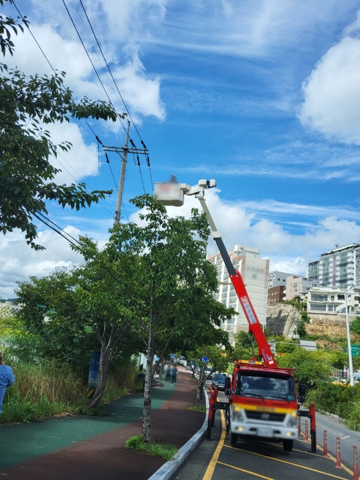 제 10호 태풍 산산의 영향으로 29일 울산에 강한 바람이 불면서 피해가 잇따랐다. 사진은 태화동 일대 정전 복구 현장.