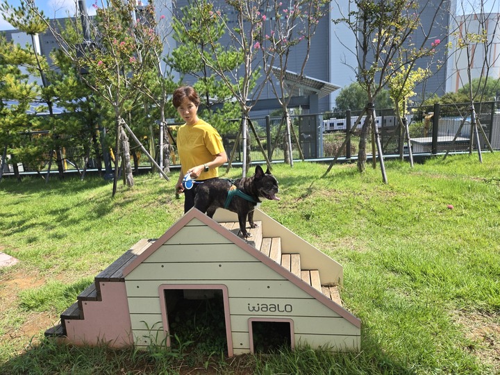 오산 반려동물테마파크 반려건 놀이터에서 견주와 어질리티를 연습하고 있는 반려견.