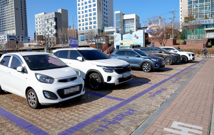 13일 찾은 울산 중구 성남둔치 공영주차장 내 보라색으로 표시된 가족배려 주차구역의 모습. 이수화 기자