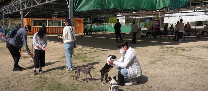 울산 남구는 반려견 활동시간이 많은 하절기를 맞아 오는 6월 3일부터 8월 30일까지 애견운동공원을 야간에도 개장한다.