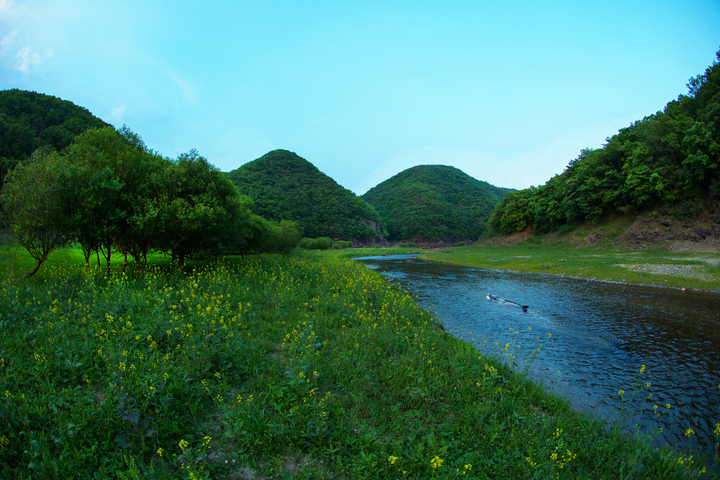 반구천 고래의 꿈.