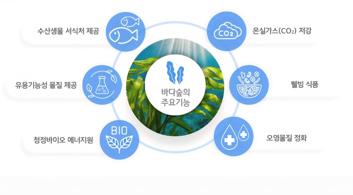 바다숲 사업 개요