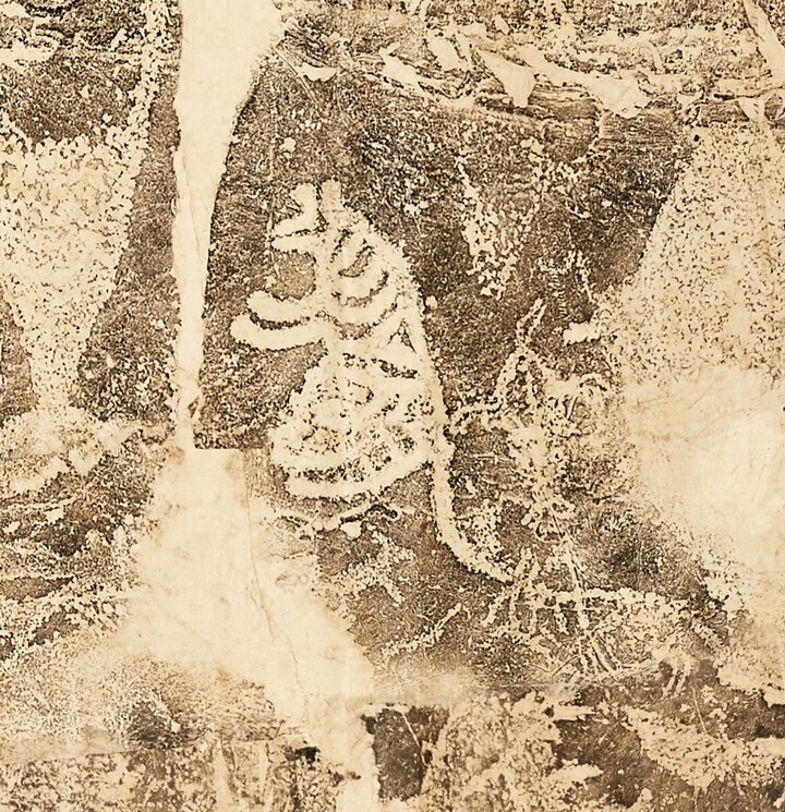 대곡리 반구대 암각화 탁본 세부모습 (호랑이 등). 동국대박물관 제공
