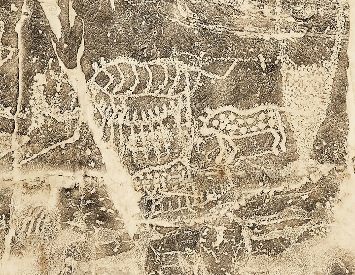 대곡리 반구대 암각화 탁본 세부모습 (표범 등). 동국대박물관 제공
