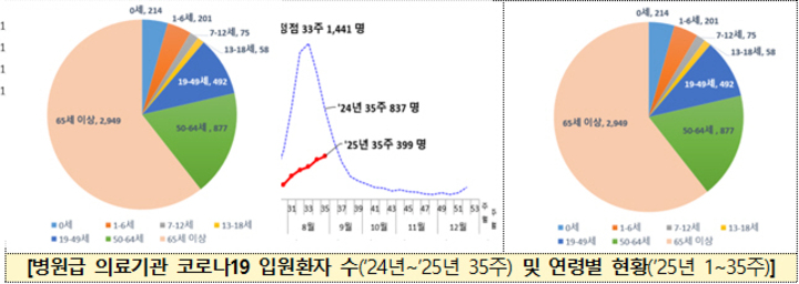 병원급 의료기관 코로나19 입원환자수 및 연령별 현황. 질병관리청 제공