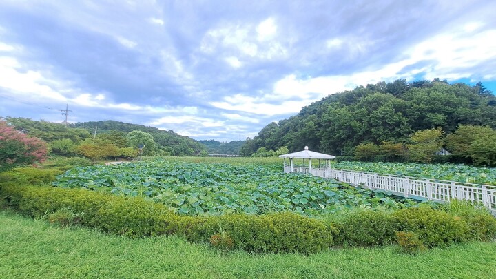 울산 도심 24㎞를 연결하는 도심순환 산책로인 '솔마루길'. 