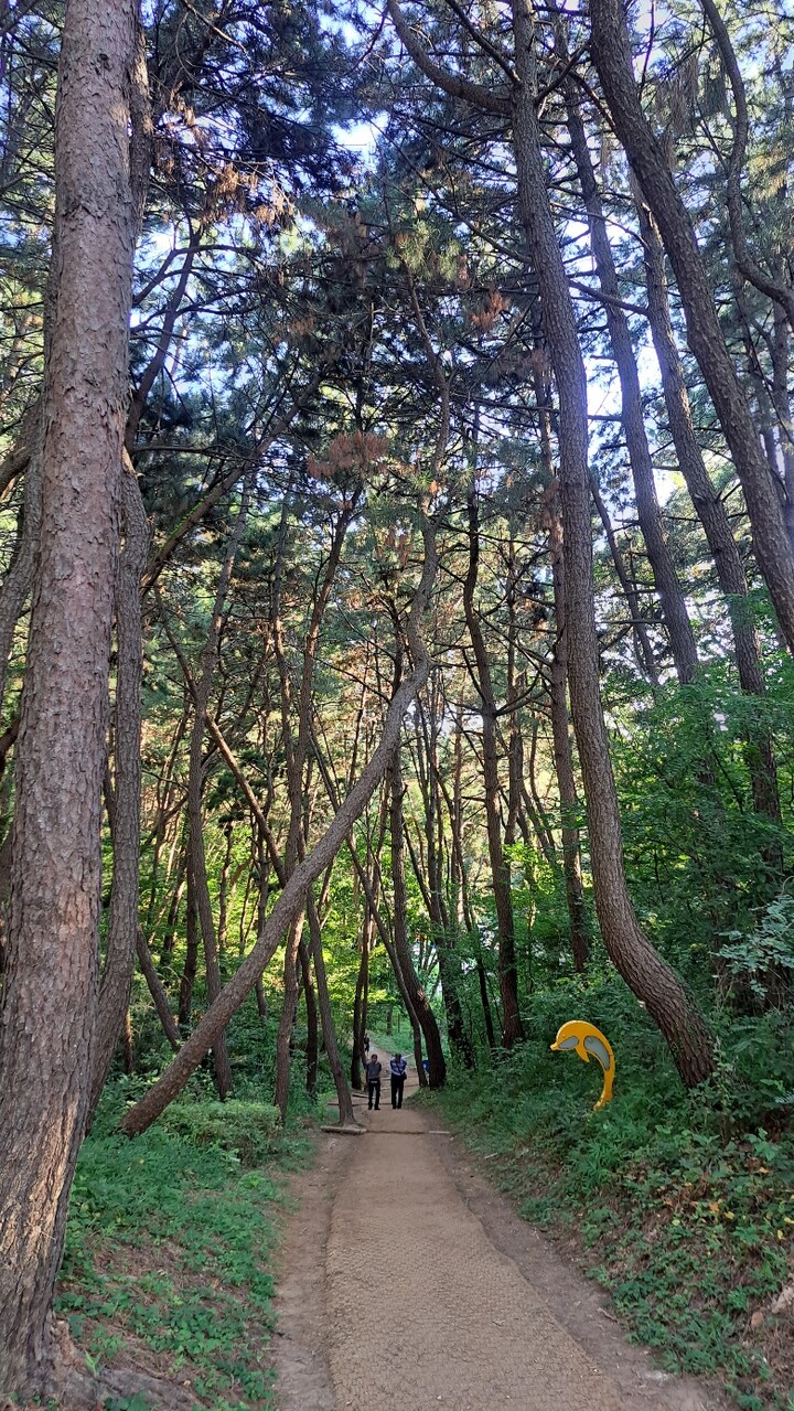 울산 도심 24㎞를 연결하는 도심순환 산책로인 '솔마루길'.