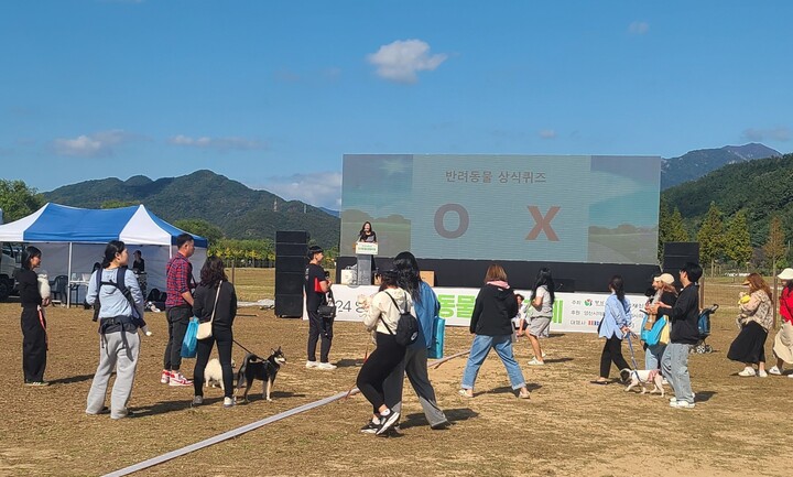 지난해 양산시 반려동물 문화축제에서 ox문제 풀기를 하고 있다.