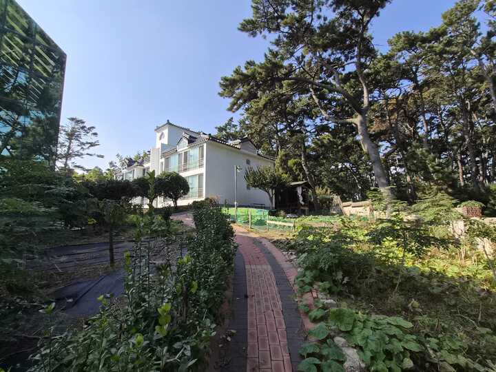 9일 울기등대 관리소 및 사택 산책로 양 옆으로 텃밭들이 가꿔져 있다.
