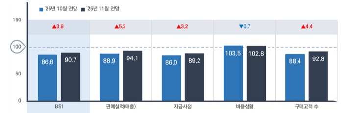 부문별 11월 전망 BSI