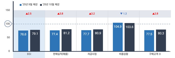 부문별 10월 체감 BSI