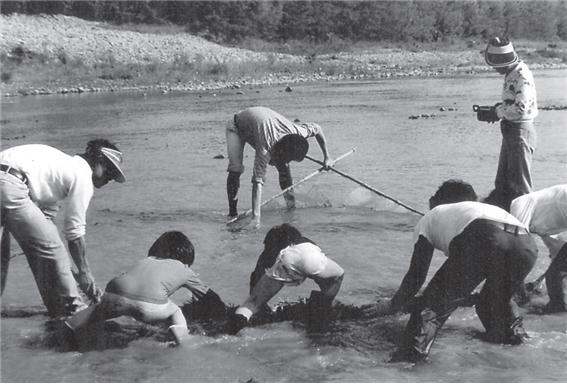 서진길작 베밀래기(1979년)