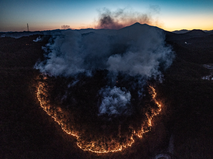 지난 11일 경북 의성군 의성읍 한 야산에서 전날 발생한 산불의 잔불이 남아 타오르고 있다. 연합뉴스