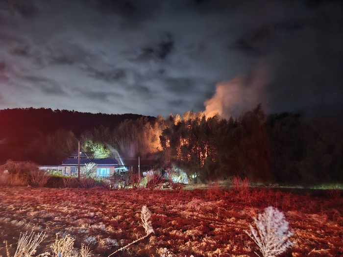 지난 20일 오후 8시 41분께 울산 울주군 서생면 위양리 한 대나무밭에서 화재가 발생했다. 울산소방본부 제공