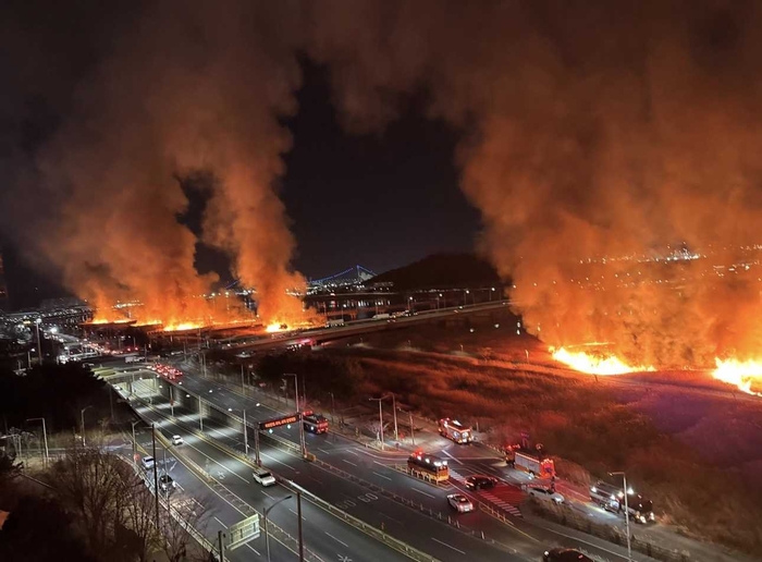 지난 24일 오후 7시 26분께 울산 북구 명촌교 억새밭에서 원인을 알 수 없는 화재가 발생했다. 독자 제공