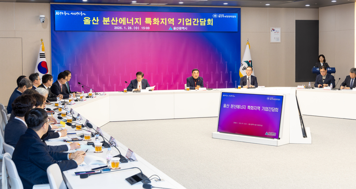 울산 분산에너지 특화지역 기업간담회가 열린 28일 울산시청 대회의실에서 김두겸 울산시장, 안효대 경제부시장, SK가스, SKMU, HD현대중공업, 고려아연, 한국에너지공단, 한국전력공사, 에너지경제연구원 등 분산에너지 관련 기업가 유관기관 관계자가 현안사항에 대해 논의하고 있다. 최지원 기자
