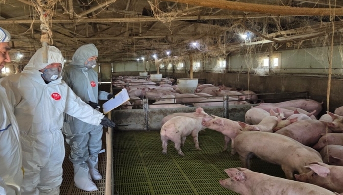 ��꺸��ȯ�濬���� �ɹη� ������ ������ ���� ���󰡸� �湮�� ������ī��������(ASF) ������ ���� �濪 ���¸� �����ϰ� �ִ�. ������ �����ũ