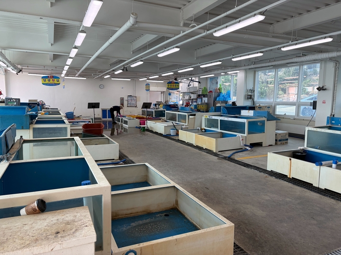 상가 내 대부분이 공실로 운영되고 있는 주전수산물 직매장 모습.