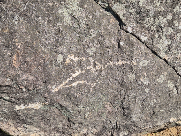 울산시 지정 기록물 제27호인 ‘반곡리 지석묘군’이 훼손돼 울주군이 복원에 나섰다.