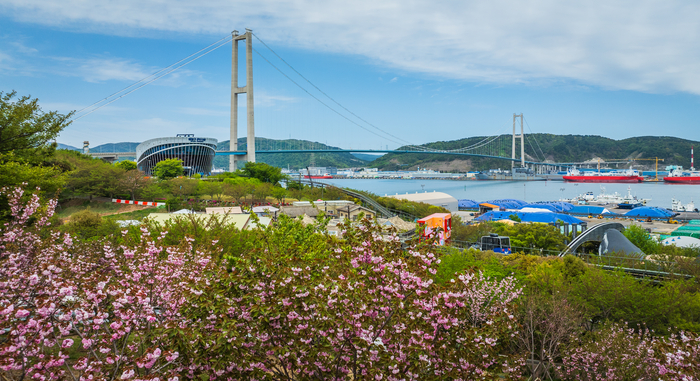 장생포고래문화특구