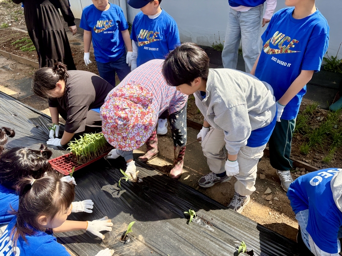 두서초 학생들이 16일 마을 텃밭에서 마을교사들과 함께 옥수수 파종을 심고있다. 울산교육청 제공
