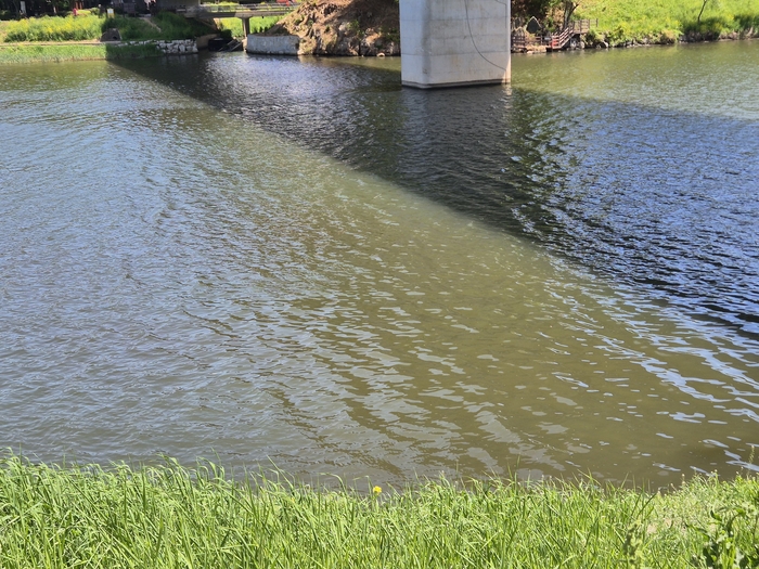 24일 찾은 남구 태화강둔치. 투명해야할 태화강 수질이 혼탁해져 있고, 바람이 불 때마다 알 수 없는 악취가 풍겼다.
