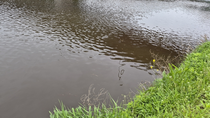지난 22일 태화강 물 색깔이 혼탁하면서도 붉은빛이 돌고 있다. 독자 제공