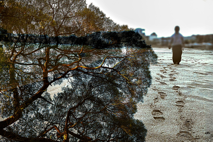 정희례작 인고(忍苦)의 삶