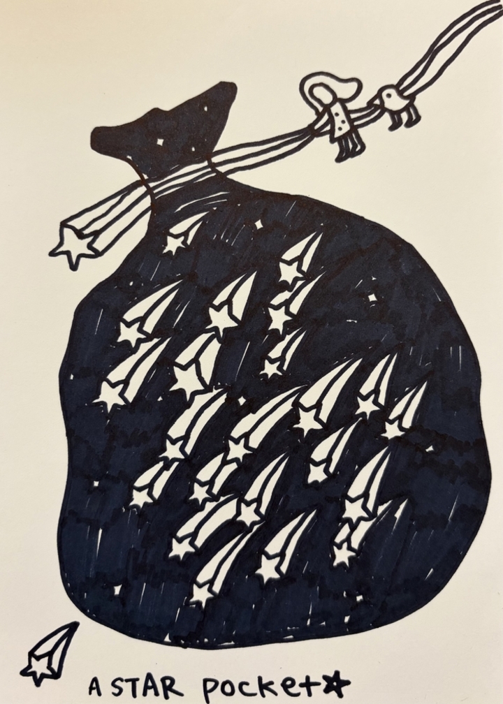 김보연작 A star pocket