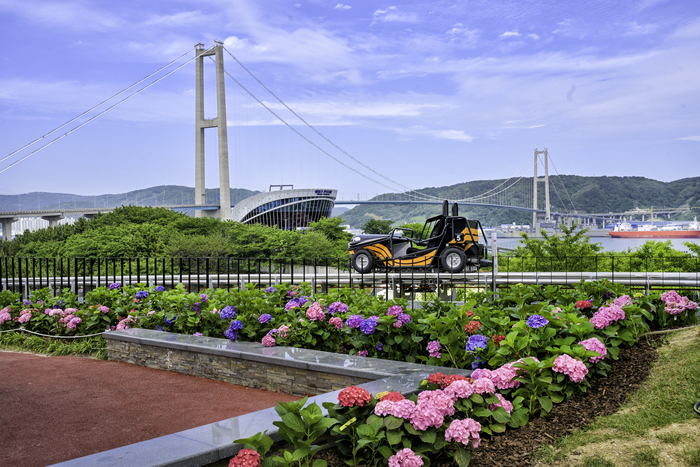오는 5일 정상 운영을 앞두고 있는 울산 남구 장생포 웨일즈카트가 수국 사이를 지나고 있다. 남구 제공