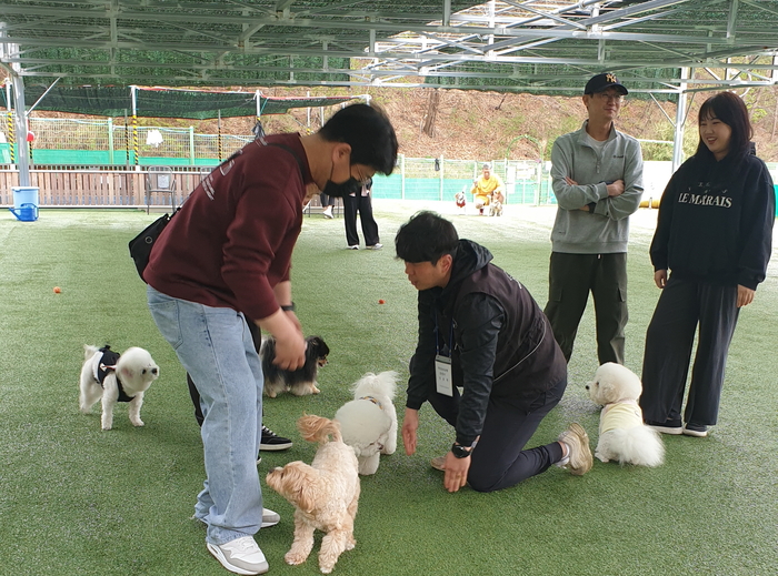울산 남구는 반려견 활동 시간이 많은 하절기를 맞아 오는 8월 29일까지 애견운동공원을 야간에도 개장한다고 8일 밝혔다. 남구 제공