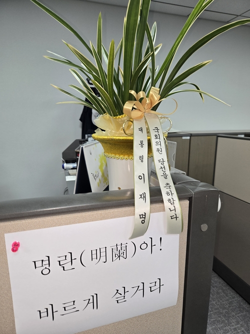 김태규 의원실의 축하난.