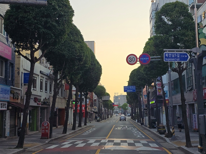 양산시 공원과가 도심 중앙로 은행나무를 전정사업해 가로경관이 한층 정돈되고 쾌적해졌다.