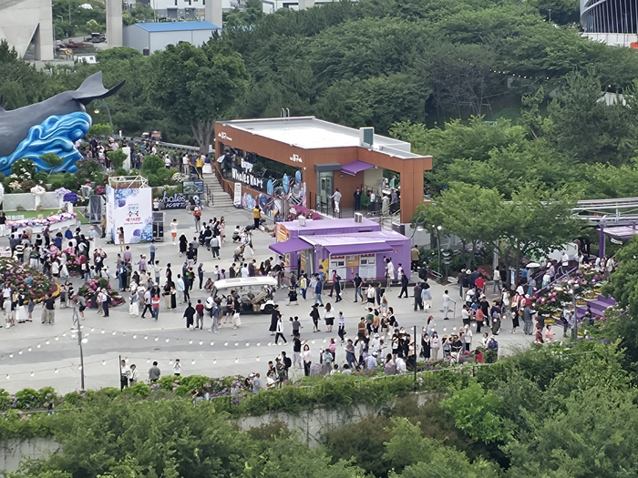 21일 울산 장생포 고래문화광장 일원에서 방문객들이 수국 페스티벌을 즐기고 있다. 독자 제공