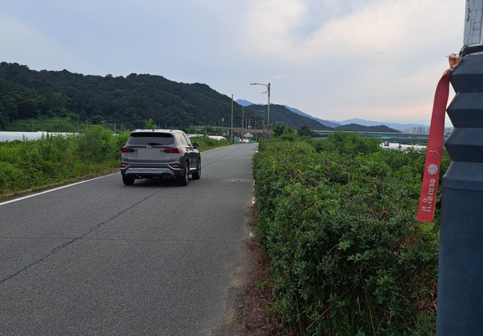 해파랑길5코스 회야강변 이면도로에 가장자리 수풀이 차도와 보도를 구분하는 실선을 덮어버려 보행자가 차도 위를 걸을 수밖에 없게 돼 있다.