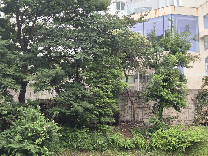 여천천 불법시설물 일제점검 조치 후 모습. 남구 제공