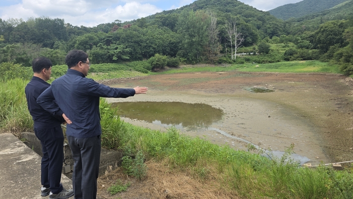 울산농협 이종삼 총괄본부장은 폭염과 가뭄으로 농작물 피해가 우려됨에 따라 5일 울주군 상북면 일대 영농 현장을 방문해 피해 상황을 점검했다. 울산농협 제공