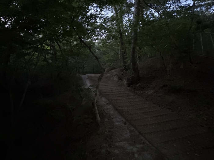 해질녘 찾은 울산 동구 큰마을 저수지는 조명이 없어 발밑을 확인하기 어려울 민큼 어두웠다.