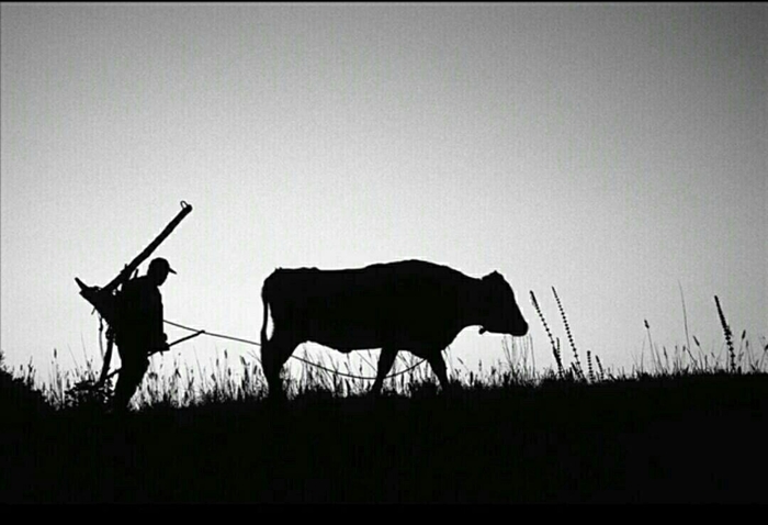 손원조작 귀로