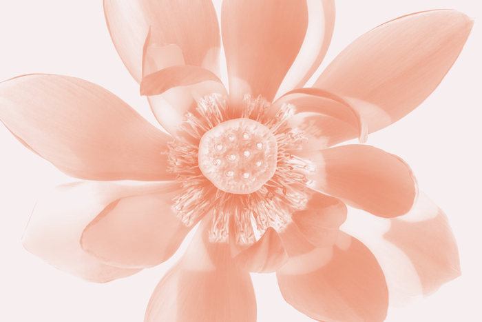 진솔한 작 무제 Digital Pigment Print