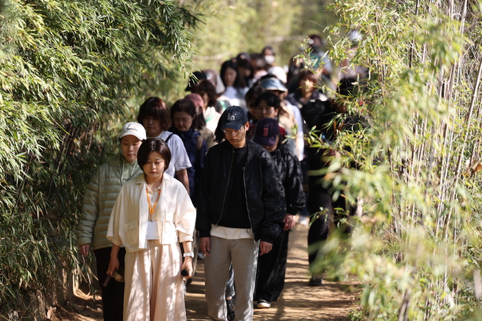 ‘선명상축제’는  명상에 미디어아트, 음악, 요가, 감각 체험, 자연 프로그램을 결합한 시민 참여형 축제다. 지난 4월 서울 봉은사에서 열린 ‘2026 선명상축제’ 행사 모습. 태화복합문화공간 만디 제공